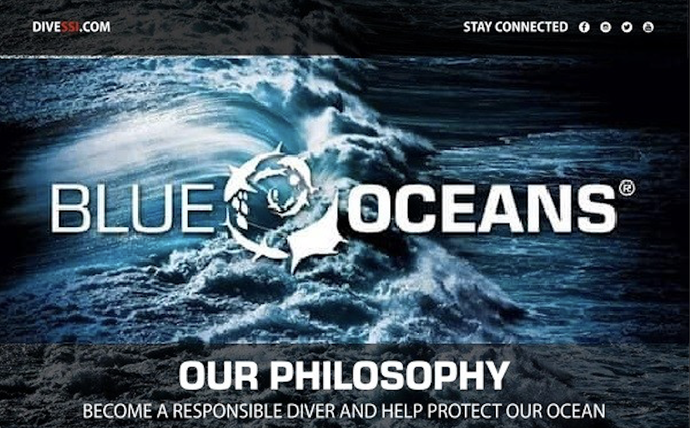 BLUE OCEANS SSI – PLASTIC FIGHTER